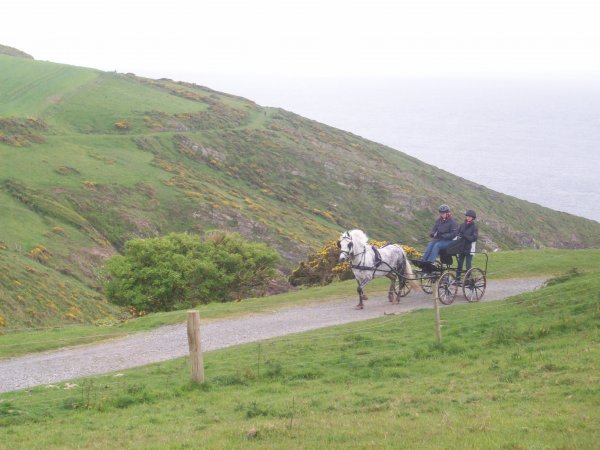 Worswell Barton B&B south devon coast path.jpg